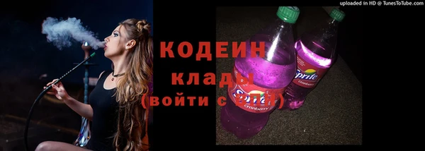 гидра Покачи