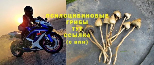 стафф Абаза