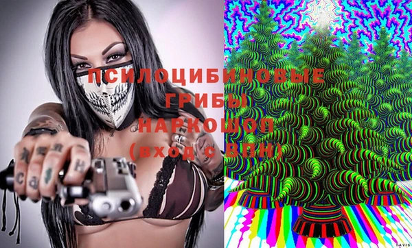 гидра Абинск