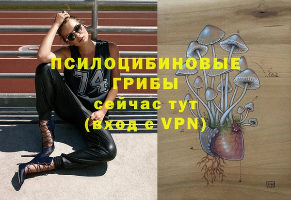 ECSTASY Покровск