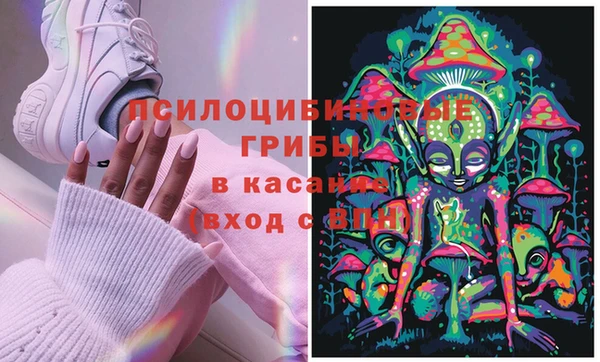 стафф Абаза