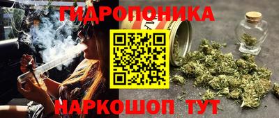 PSILOCYBIN Нальчик