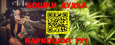 индика Нарткала
