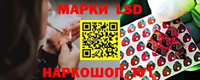 PSILOCYBIN Нальчик