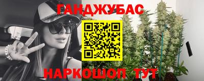 PSILOCYBIN Нальчик