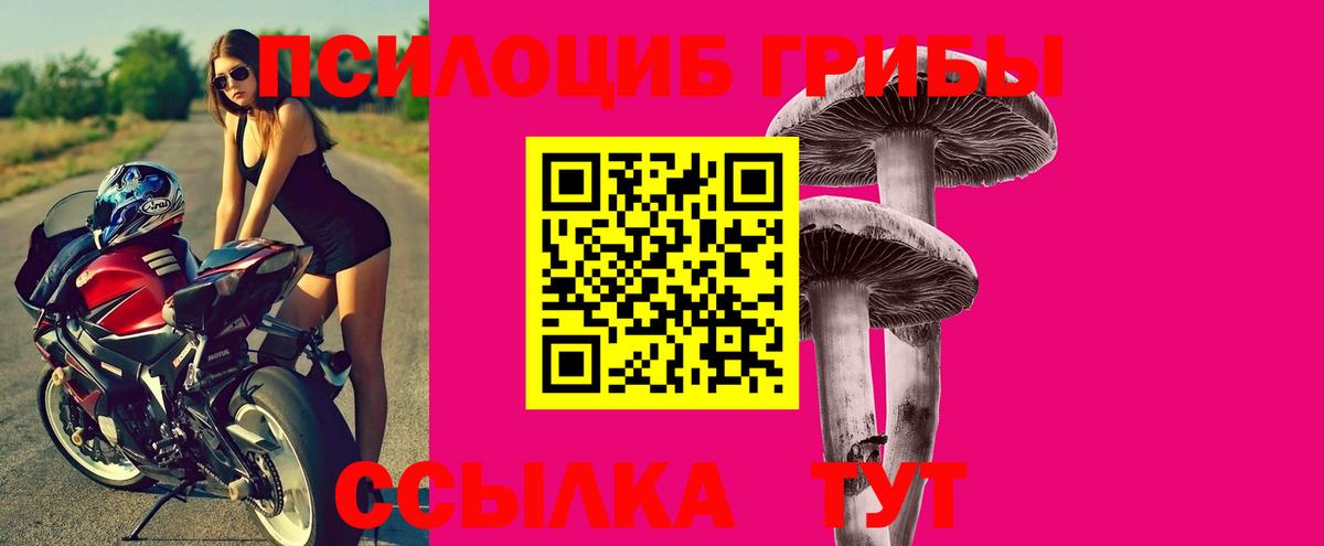 Псилоцибиновые грибы GOLDEN TEACHER Тулун